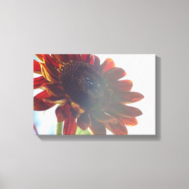 Arte de canvas de girasol rojo (Anverso)