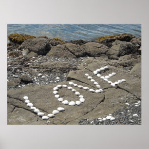 Arte de conchas en la playa