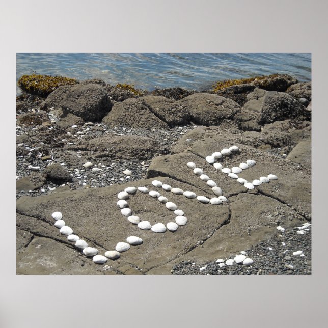 Arte de conchas en la playa (Frente)