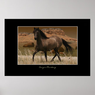 Arte de conservación de caballos CANYON MUSTANG
