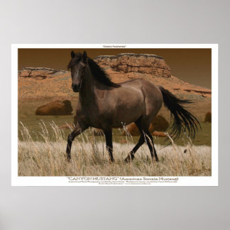 Arte de conservación de caballos CANYON MUSTANG