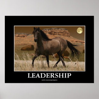 Arte de conservación de caballos CANYON MUSTANG