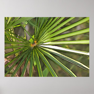 Arte de contorno negro de palma tropical