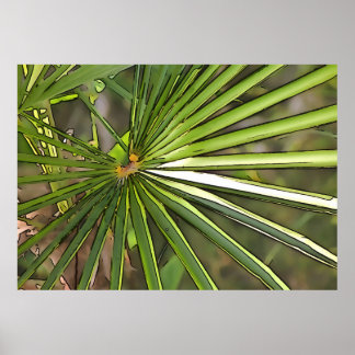 Arte de contorno negro de palma tropical