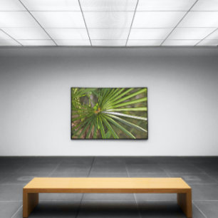 Arte de contorno negro de palma tropical