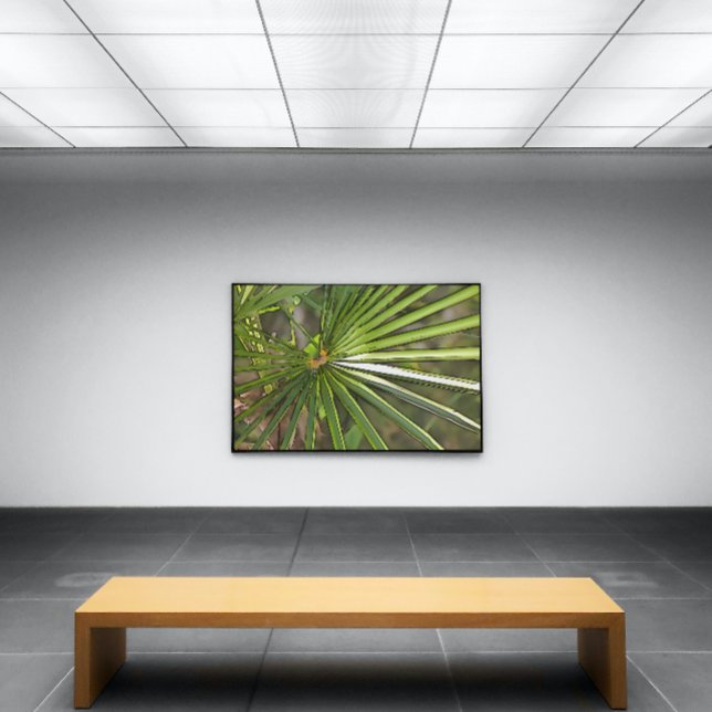 Arte de contorno negro de palma tropical (Subido por el creador)