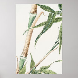 Arte de cosecha de hojas de bambú
