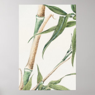 Arte de cosecha de hojas de bambú