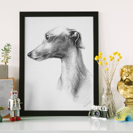 Arte de dibujo del perro blanco de Greyhound itali