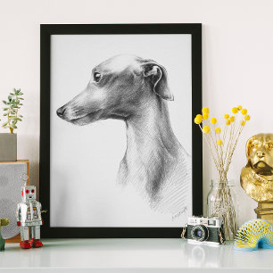 Arte de dibujo del perro blanco de Greyhound itali