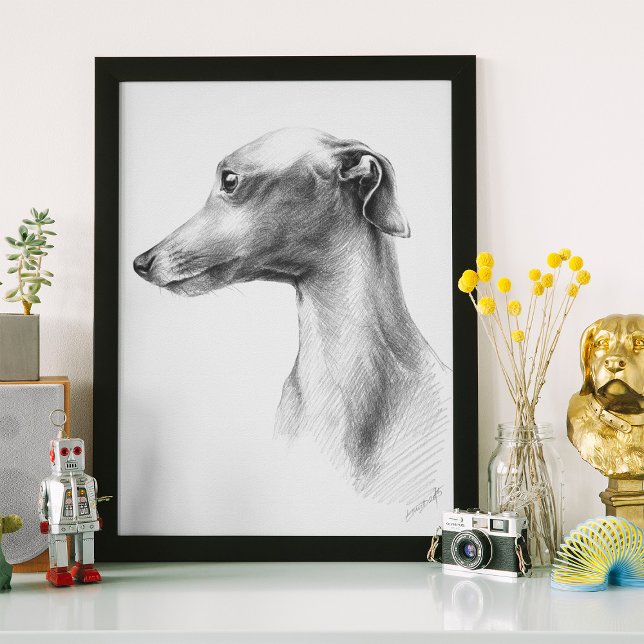 Arte de dibujo del perro blanco de Greyhound itali (Subido por el creador)
