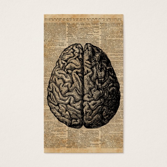 Arte de diccionario de Ilustracion de cerebro huma (Frente)