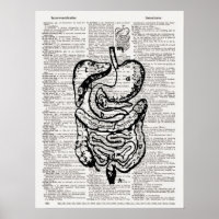 Arte de diccionario de Ilustracion médico