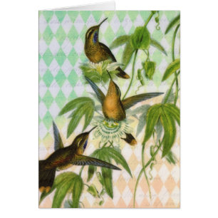Arte de Digitaces del colibrí