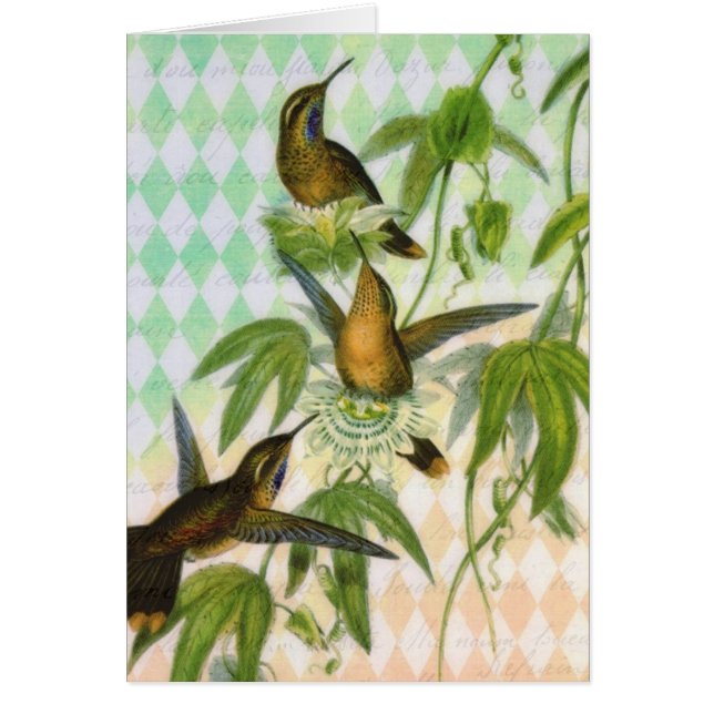 Arte de Digitaces del colibrí (Frente)