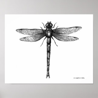 Arte de drenaje de plumas de tinta de la libra