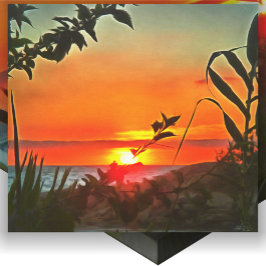 Arte de El Río Pitillal 2009 