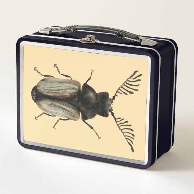 arte de entomología de los insectos de Guay (Anverso)
