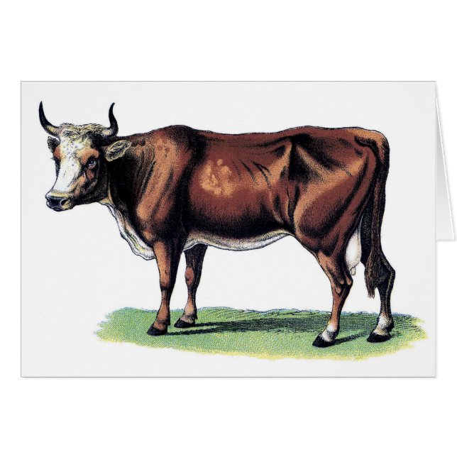 Arte de época... Vaca (Anverso (Horizontal))