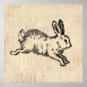 Arte de escritura de Ilustracion vintage de conejo
