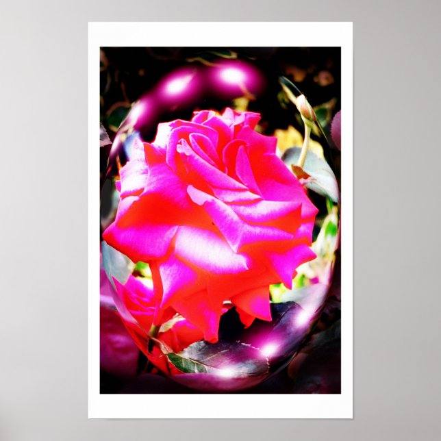 arte de espíritus de rosa (Frente)