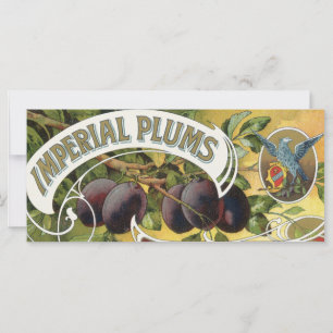 Arte de etiqueta de caja de frutas vintage, ciruel