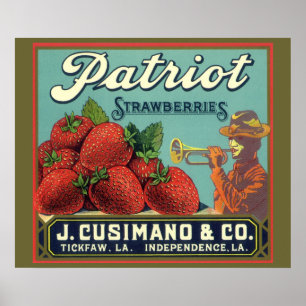 Arte de etiqueta de caja de frutas vintage Patriot