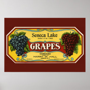 Arte de etiqueta de caja de frutas vintage, uvas d