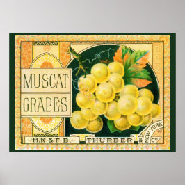 Arte de etiqueta de caja de frutas vintage, uvas M
