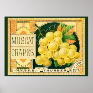 Arte de etiqueta de caja de frutas vintage, uvas M