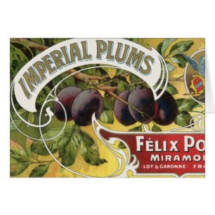 Arte de etiqueta de fruta de cosecha de vintage, c