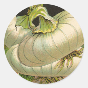 Arte de etiqueta de paquete de semillas antiguas C