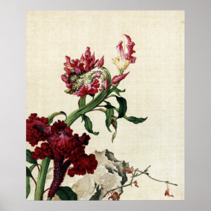 Arte de Flor Chinoiserie Roja Vintage Cresta de Ga