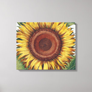 Arte de Flor de Damasco Vintage Girasol