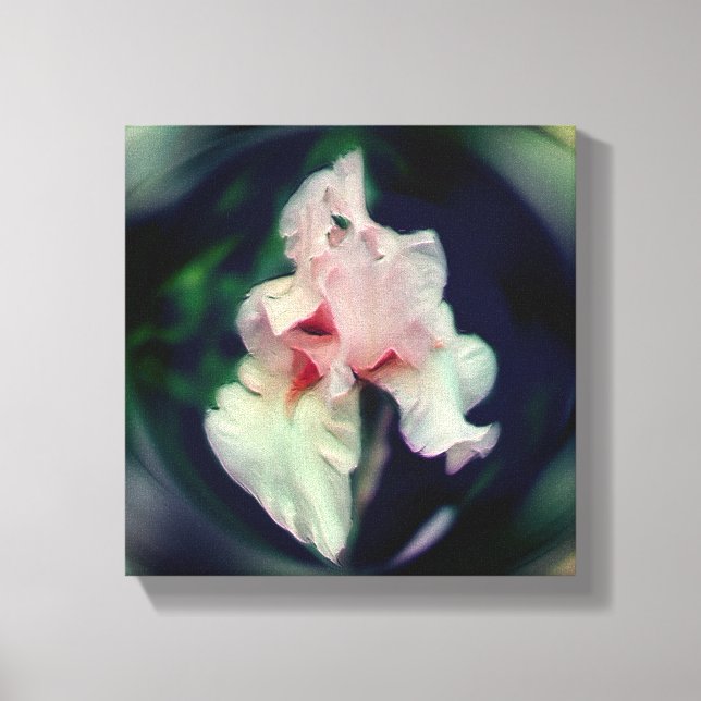 Arte de Flor de Iris Barbudo Rosa (Anverso)
