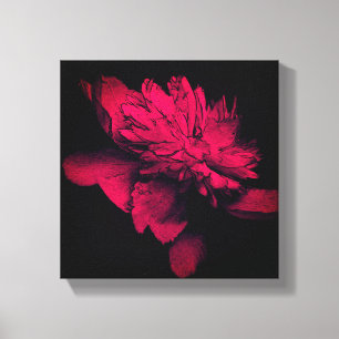 Arte de Flor de Peonía Intensa