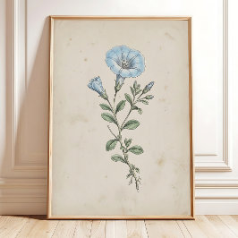 Arte de Flor Vintage Nolana Decoración de Hogar An