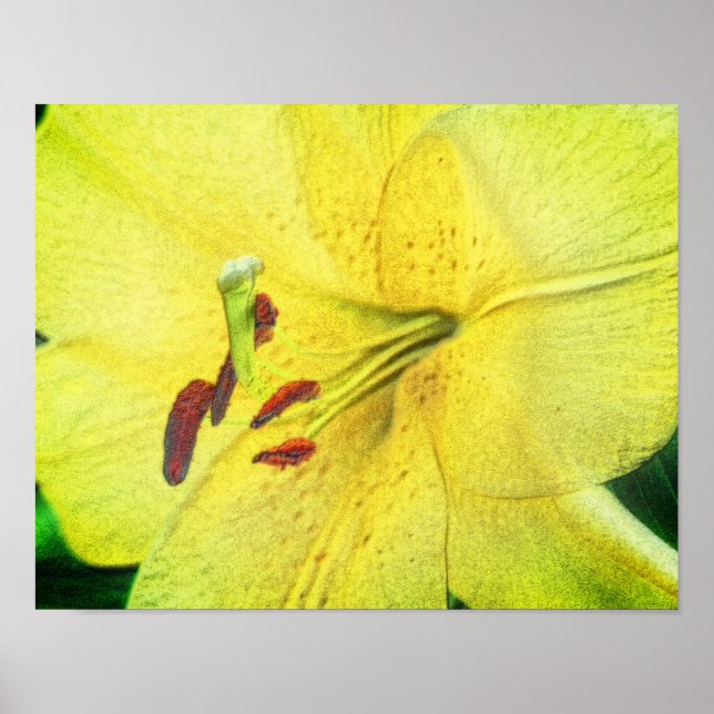 Arte de flores amarillas con lápiz (Frente)