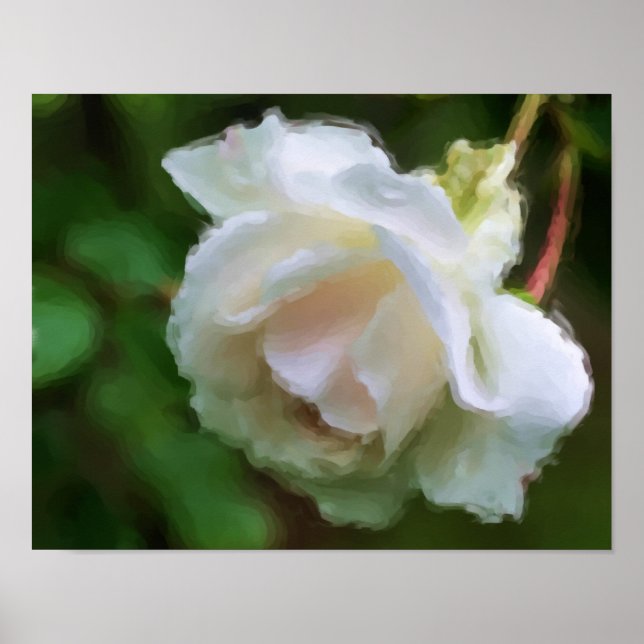 Arte de flores de rosa blanca (Frente)