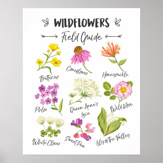 Arte de Flores silvestres Flores silvestres poster (Frente)