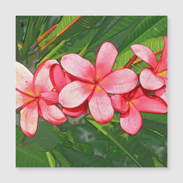 Arte de Frangipani Tropical Rosa (Anverso)