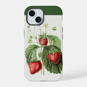 Arte de Fresa Roja Vintage