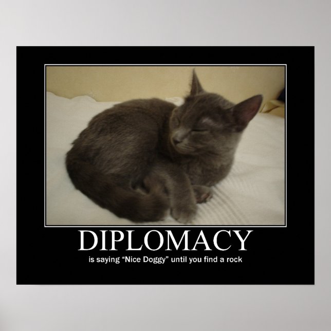 Arte de gatos de diplomacia (Frente)