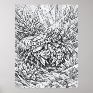 Arte de Geometría Coral de Camarón Mantis