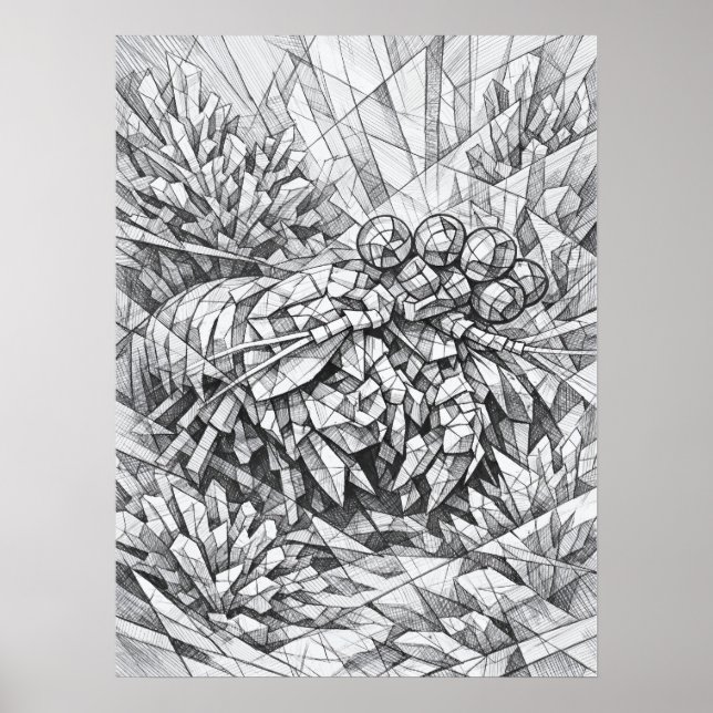 Arte de Geometría Coral de Camarón Mantis (Frente)