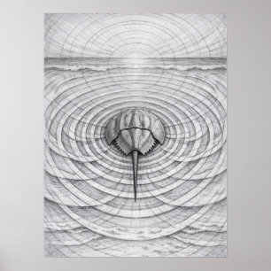 Arte de Geometría de Marea del Cangrejo Herradura