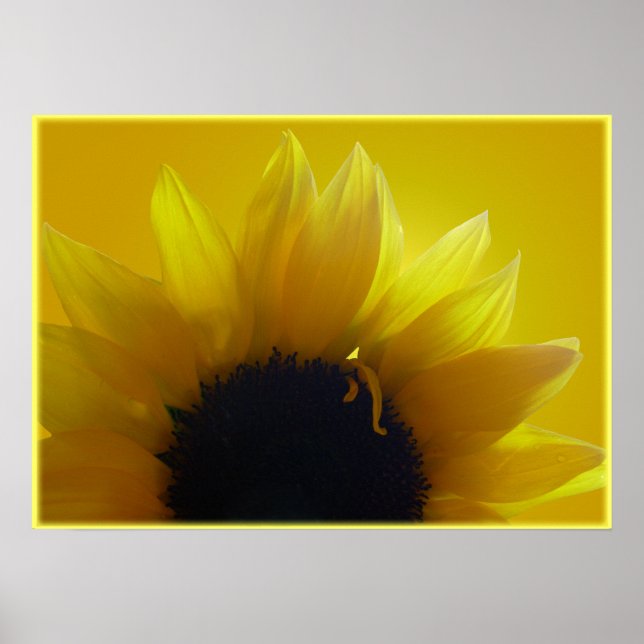 Arte de girasol Imprimir Hermosa Flor Imprimir (Frente)