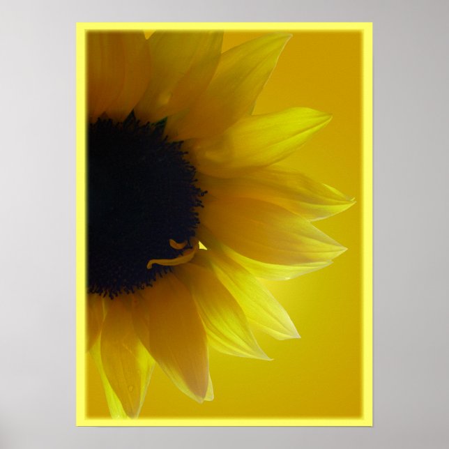 Arte de girasol Imprimir Hermosa Flor Imprimir (Frente)