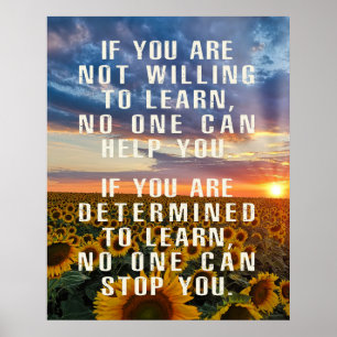 Arte de girasol motivacional, Frases positivas