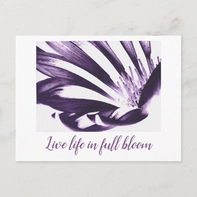 Arte de Heather Live vida en una postal a plena fl (Anverso)